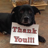 Pet Palace Veterinary Clinic - Veterinarians/Vets in Aurora