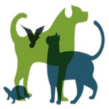 Belleview Animal Clinic - Veterinarians/Vets in Englewood