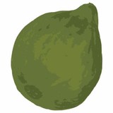 FiG Advertising and Marketing - Advertising in Denver