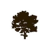 Mapleton Hill Media - Software Development in Boulder