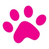 Care Bear's Pet Grooming - Pet Groomers in Aurora