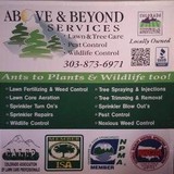 Above And Beyond Services - Pest Control in Denver