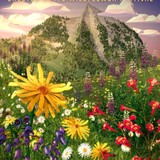 Thin Air Software Company LLC - Other in Crested Butte