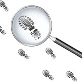 Buena Vista Enterprises LLC - Other in Buena Vista