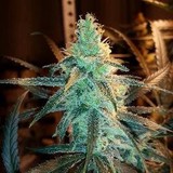High Mountain Caregivers LLC - Medical Centers in Colorado Springs