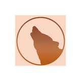 Coyote Creek Studio Arts - Other in Fairplay