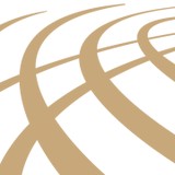 International Concept Management - Manufacturer in Grand Junction