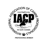 Dog Ventures - Pet/Animal Training in Denver