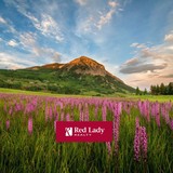 Red Lady Realty - Other in Crested Butte