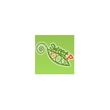 Sweet P Web Development - Web Design & Development in Durango