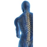 Chiropractic Solutions of Denver - Chiropractors in Denver