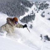 Vail Chamber of Commerce - Other in Vail