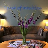 Touch of Intuition Massage Therapy - Massage in Arvada