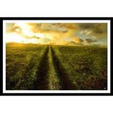 Yoga Works - Yoga in Loveland
