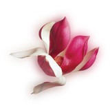 Devine Skin - Dermatologists in Denver