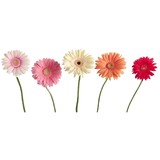 Rubys Floral - Florists in Delta
