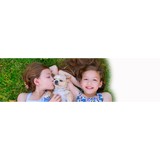 Hoard Emily DVM - Veterinarians/Vets in Castle Rock