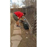 ShOO! Wildlife & Pest Control - Pest Control in Colorado Springs