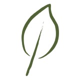 Magnolia Restaurant & Sushi Bar - Restaurants in Lafayette