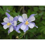 Grand County Board of Realtors - Other in Granby