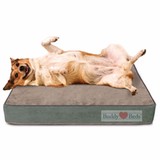 Buddy Beds LLC - Pet Stores in Denver