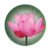 Beth Burcham Therapy And Counseling - Rehabilitation Center in Boulder