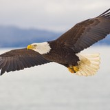 Insight Lasik - Optometrists in Parker