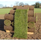 Mile High Sod - Fruit, Herb, Grain, Nut, Seed, Spice, Vegetable Farms & Orchards in Denver