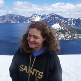 Denali Training Solutions LLC - Business Consulting in Englewood