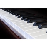 Main Street Music - Musical Instruments & Services in Windsor