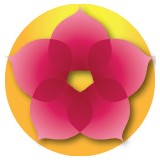 Rae of Light Aromatherapy Massage - Massage Therapy in Denver
