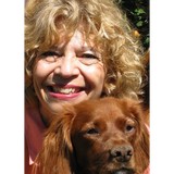 Animal Expressions LLC - Veterinarians/Vets in Aurora