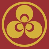 Robert Mann Oriental Rug - Carpet Store in Denver