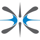 Insyntrix - Advertising in Denver