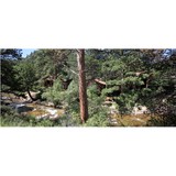 Riverwood on Fall River - Resorts in Estes Park