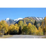 Jones Kristin - Health & Medical Insurance in Denver