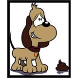 Poops-R-Us - Pet Stores in Denver
