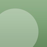 Lumber Jack & Jill LLC - Tree Services in Fort Collins