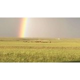 Chinook Winds Riding Stable LLC - Other in Calhan