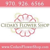 Cedar's Flower Shop - Other in Edwards