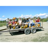 Happy Apple Farm - Other in Penrose