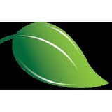 Silver Biology LLC - Software Development in Denver
