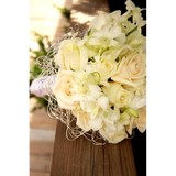 Dassel's Florist & Greenhouse - Florists in Colorado Springs