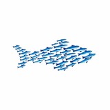 Small Fish Business Coaching - Business Consulting in Fort Collins