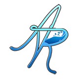 Affordable Rooter - Plumbing in Colorado Springs