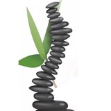 Johnston Chiropractic - Chiropractors in Longmont