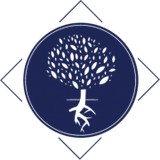 Life Chiropractic - Chiropractors in Longmont