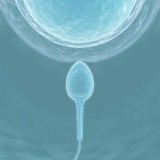 Cryogam Colorado LLC