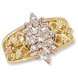 Black Hills Gold Source - Jewelry in Boulder