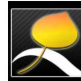 Aspen Snowmass Real Estate - Other in Aspen